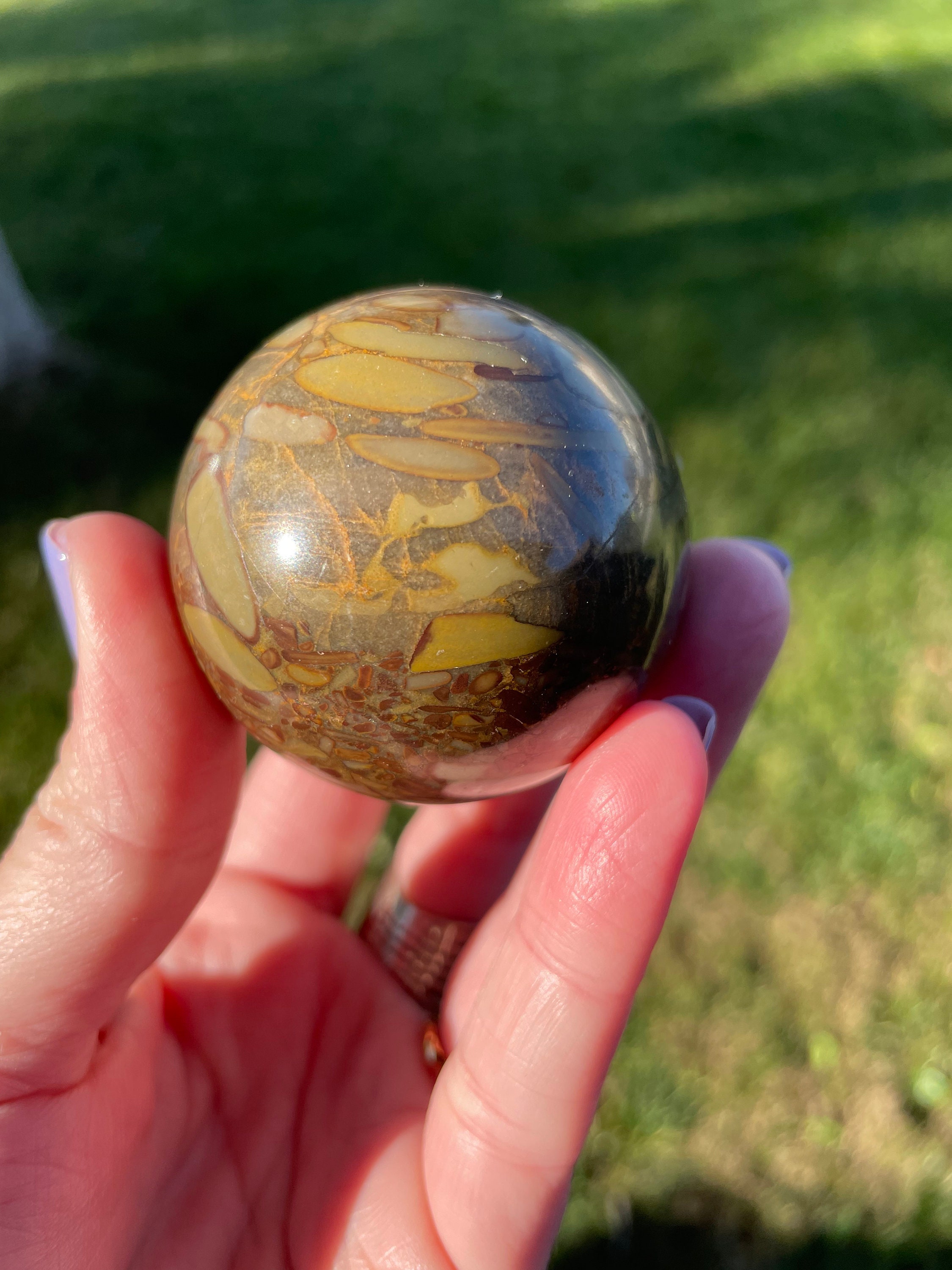 Bamboo Jasper Healing Crystals Grounding Stones Etsy