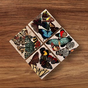 Set von vier Schmetterlings-Untersetzern mit Arbeiten des Künstlers E.A. Seguy