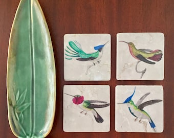 Hummingbird Coaster Set - Great Christmas Gift for Bird Lovers - 19th Century Naturalist Illustrations