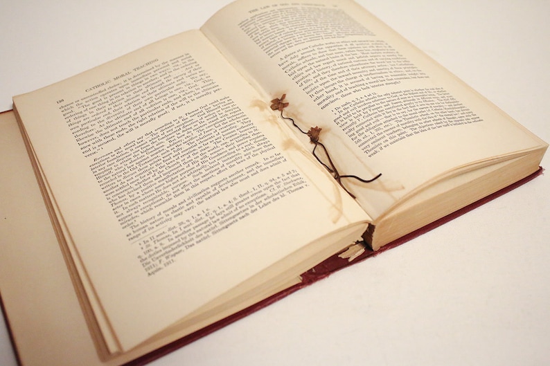 Catholic Moral Teaching And Its Antagonists: Viewed In The Light Of Principle And Of Contemporaneous History 1914 First Edition Hardcover image 8