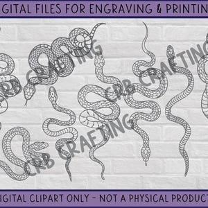 Clipart slang omtrek voor tatoeage, gravure en bedrukking | Hoogwaardige digitale bestanden en vectoren Serpent Art (svg, png, jpg en meer)