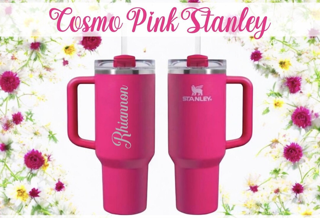 24 oz double wall plastic tumblers 20 Pack 16oz 24oz Double Walled BPA Free Snow Globe Plastic Acrylic Cu   GGblanks