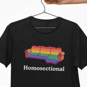 Homosectional Pride Tee – Funny LGBTQ Unisex Softstyle Shirt with Punny Pride Design, Y2K Meme, Gen Z Humor, Unhinged Gay Pride Gag