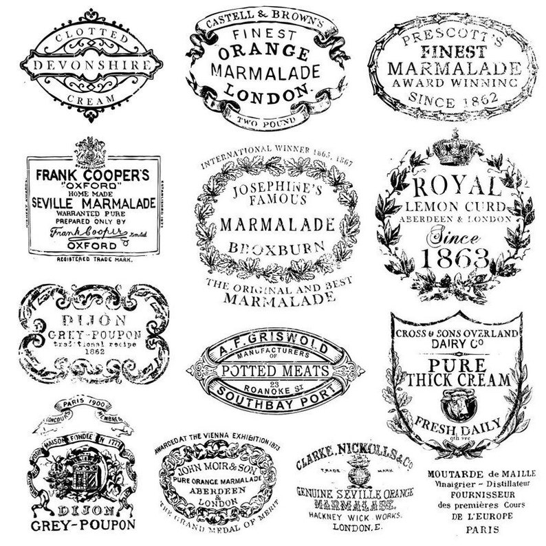 Iron Orchid Designs Queen Bee IOD Decor Stamp