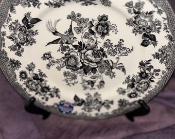 Royal Stafford Asiatic Pheasant Black Transferware Dinner Plate 10” Pasta Bowl 9”