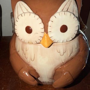 Vintage Retro Grassland Roads Brown Owl Ceramic Cookie Jar 9.5” owl lovers kitchen owl