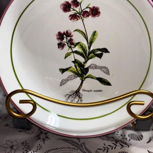 Seltene Primula Made In Italy Suppenschüssel Teller Botanische Chinapila Diplotaius Veronica Wahl des Blumenmusters rosa Randersatz