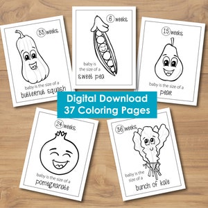 Baby Fruit Size Coloring Pages - Digital Download