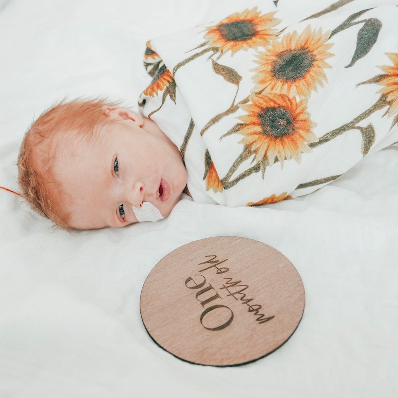 Newborn Baby Milestone CardsBaby Milestone cardsmilestone cardswood baby milestone cardswood milestone cardswood name plaqueround sign