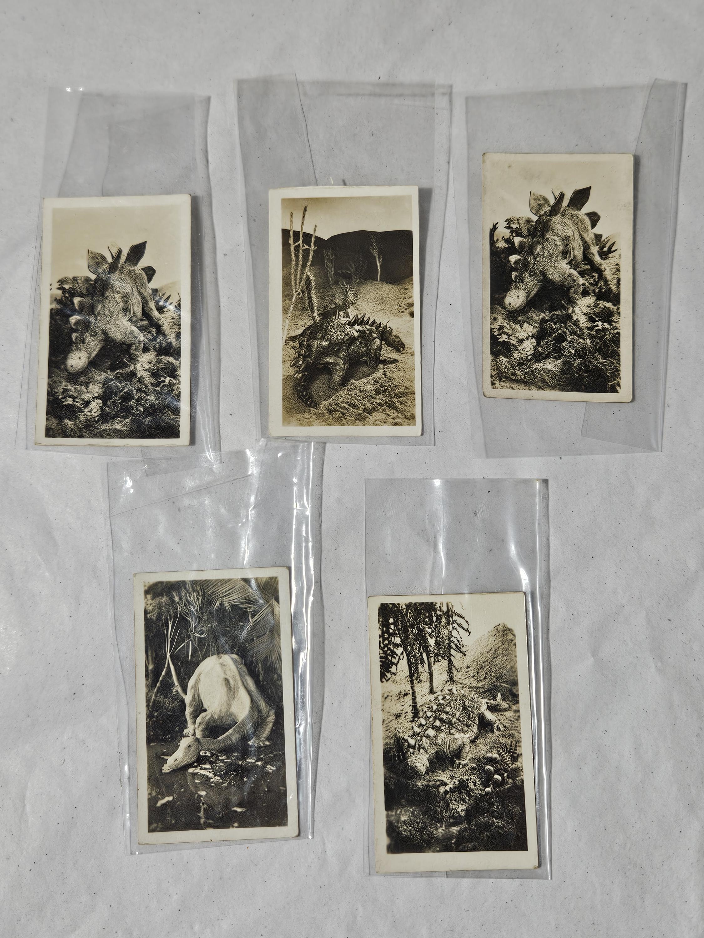 army club cigarette cards 5 Vintage Army Club Cigarette Cards Prehistoric Times Cavanders Ltd London  Dino
