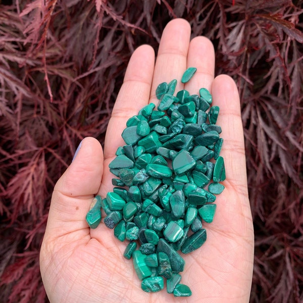 Inlay chip // Malachite Natural Stone Small Undrilled Tumbled Polished Chips:  Sold per 2-Ounce Pack, Approximately 135-160 Malachite Chips