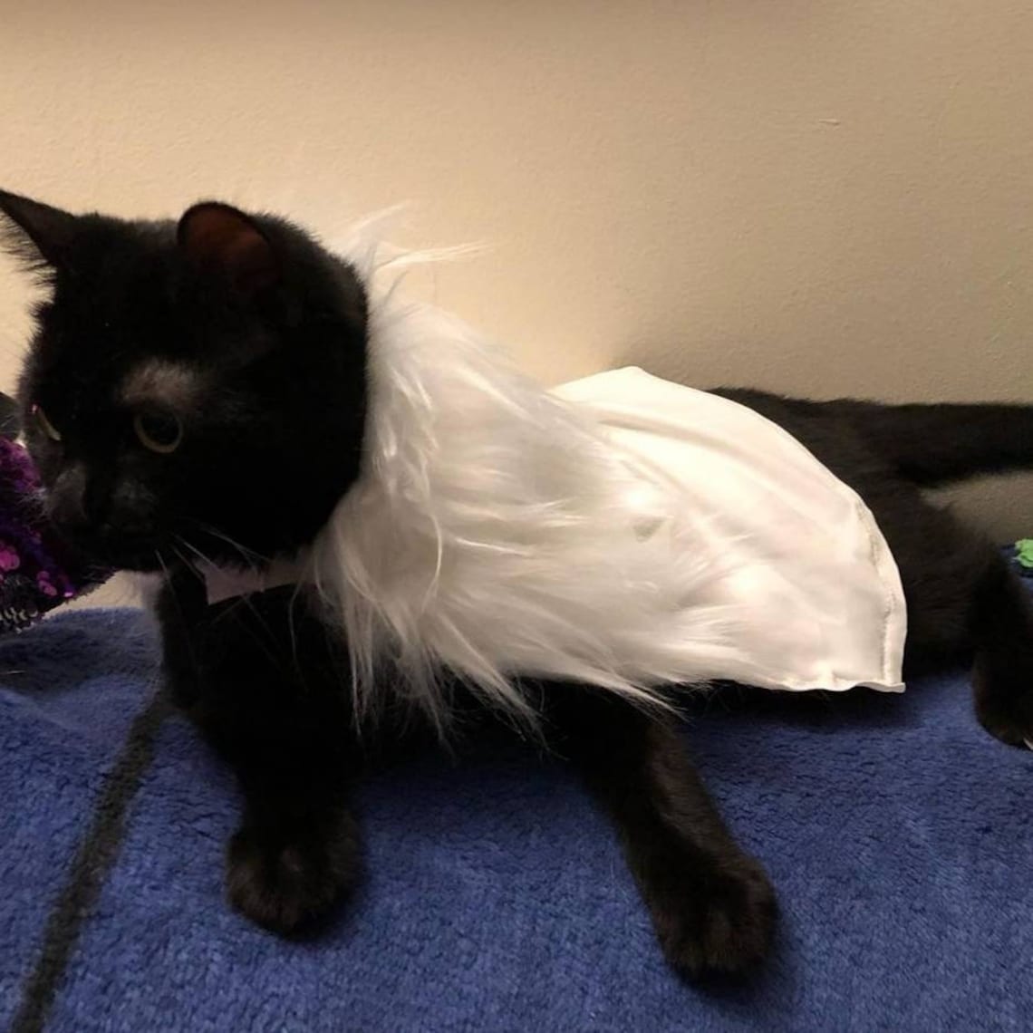 Faux Fur Lined Cat Cape Etsy