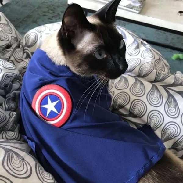 Marvel Variation - Handmade Premium Cat Cape