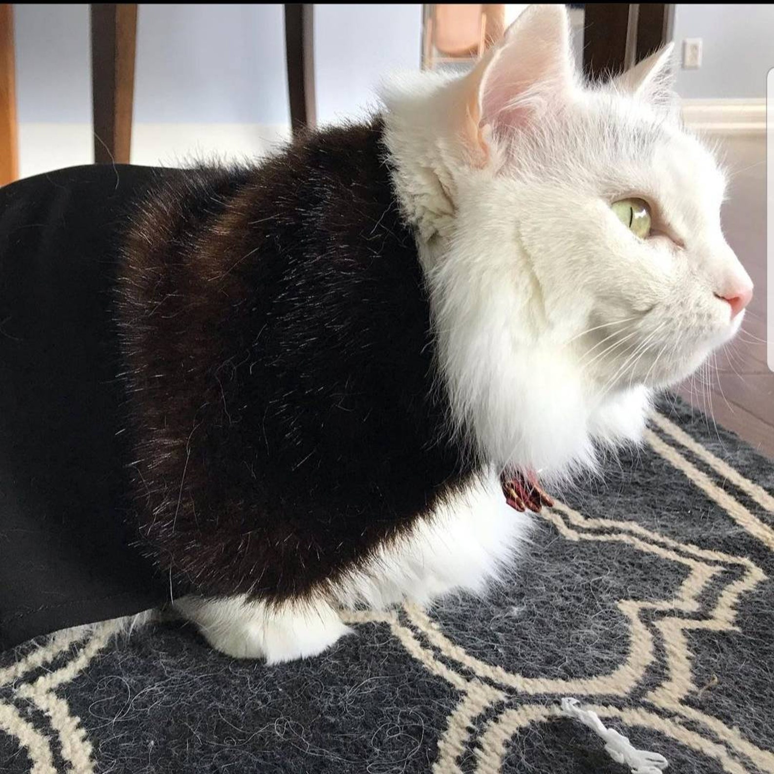 Faux Fur Lined Cat Cape Etsy