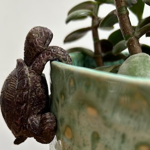 Tortoise Plant Pot Hanger - Indoor Outdoor House Gift Decoration