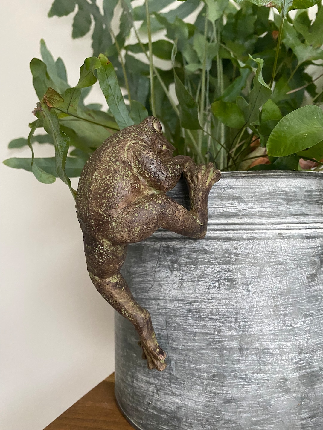Frog Plant Pot Hanger - Indoor Outdoor House Gift Decoration - Etsy UK