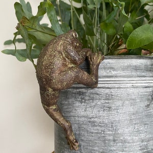 May include: A brown and green frog figurine climbing up the side of a metal planter. The planter is a light grey colour with a textured surface.