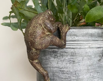 Frog Plant Pot Hanger - Indoor Outdoor House Gift Decoration