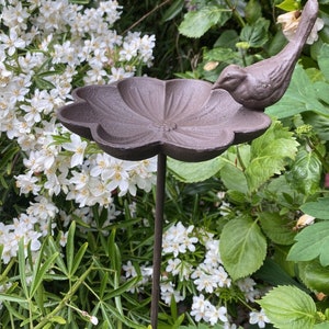 May include: A brown cast iron bird bath, featuring a flower-shaped bowl and a bird figurine. The bird bath is mounted on a slender metal pole, set amidst green foliage and white flowering plants. A decorative garden ornament.