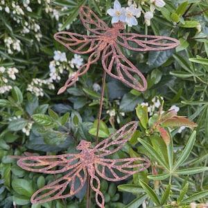 May include: Two decorative rusty metal dragonfly garden ornaments. The dragonflies feature detailed wing designs and are set against a background of green leaves and white flowers. Ideal for adding a rustic touch to a garden.