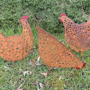 May include: Three weathered metal chicken sculptures with a rusty orange-brown finish stand in a grassy garden. Each chicken has a red comb and a perforated design. These decorative garden sculptures are designed to be placed outdoors.