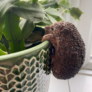 K&ouml;nnte beinhalten: Eine braune Keramik-Igelfigur sitzt auf dem Rand eines gr&uuml;n-wei&szlig;en Keramiktopfs. Der Topf ist mit einer gr&uuml;nen Sukkulentenpflanze gef&uuml;llt.