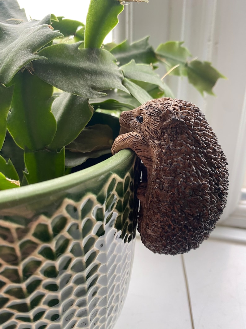 K&ouml;nnte beinhalten: Eine braune Keramik-Igelfigur sitzt auf dem Rand eines gr&uuml;n-wei&szlig;en Keramiktopfs. Der Topf ist mit einer gr&uuml;nen Sukkulentenpflanze gef&uuml;llt.