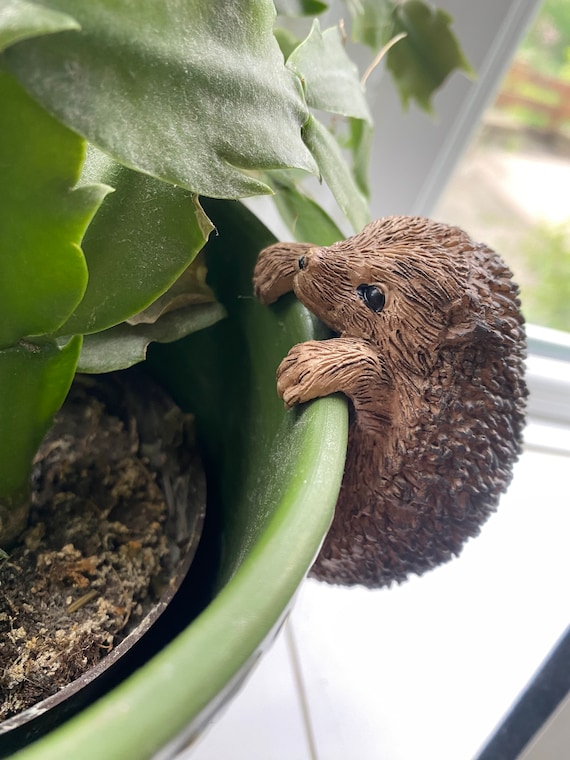 Hedgehog Plant Pot Hanger - Indoor Outdoor House Gift Decoration