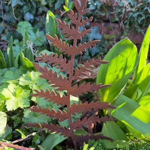 May include: A rusty brown metal fern sculpture stands amidst green foliage. The detailed cutout design mimics a natural fern frond, adding a touch of rustic charm to garden decor. The sculpture is approximately 30 cm tall.