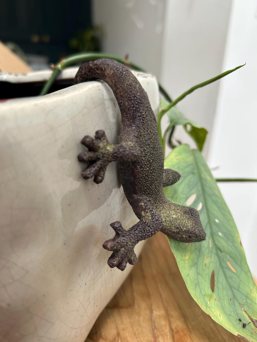 Lizard Plant Pot Hanger - Indoor Outdoor House Gift Decoration - Etsy UK