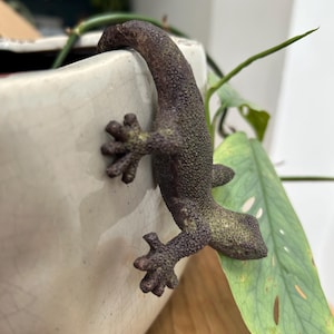 May include: A detailed, dark green and brown lizard figurine clinging to the side of a cream-coloured ceramic pot. The lizard has textured skin and detailed feet. A green leaf is visible in the background.