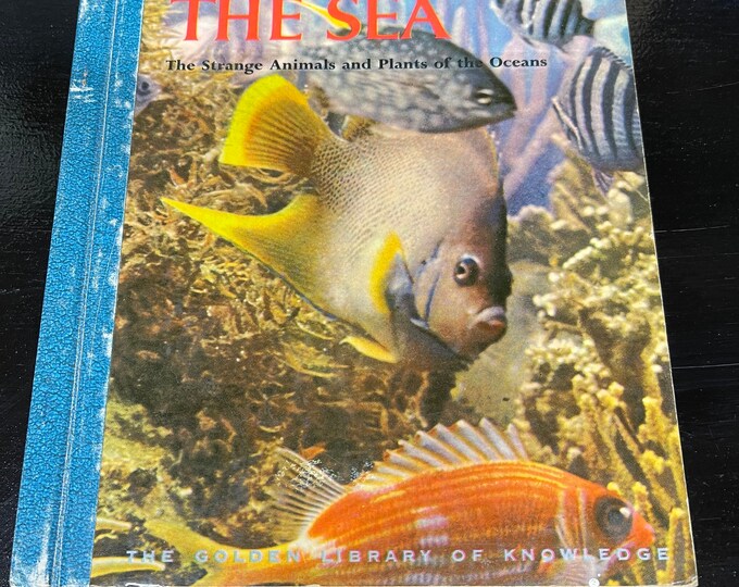 The Golden Library of Knowledge Book - The Sea 1958