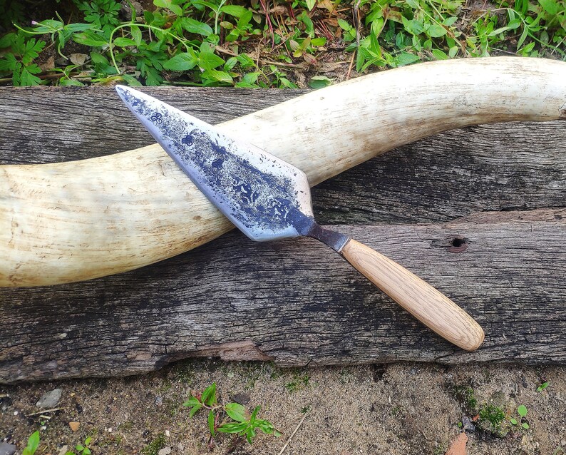 Large Hand Pointing Trowel Archaeology Trowel Etsy