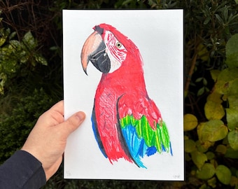 オウムの絵 | 5インチ×7インチのオリジナルアート | 色鉛筆アート