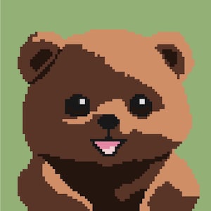 Happy Bear graphgan pattern