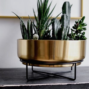 GOLD Modern Contemporary Succulent Planter | Large Round Planter Bowl | 12 Inch | Also Available in White | Handcrafted Metal Plant Holder