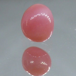 Perle Conch Naturelle Rose Saumon - Poids 0,65 Carats - Forme Baroque - Provenance Caraïbes - Neuf Sans Emballage