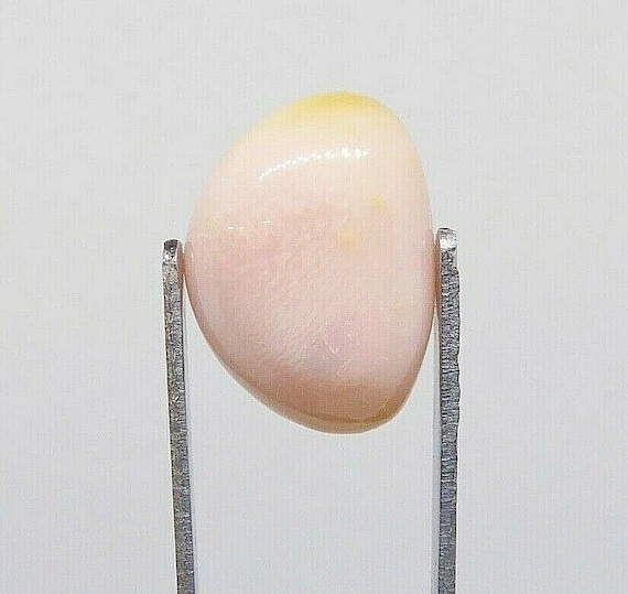 Perle De Conque Rose Saumon Pastel Naturelle - Poids 1 Carat, Dimensions 7.09x4.81x4.08mm, Origine Caraïbes