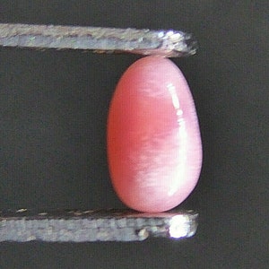 Perle De Conque Rose Saumon – Naturelle, 1 Carat, Forme Baroque – Provenance Caraïbes