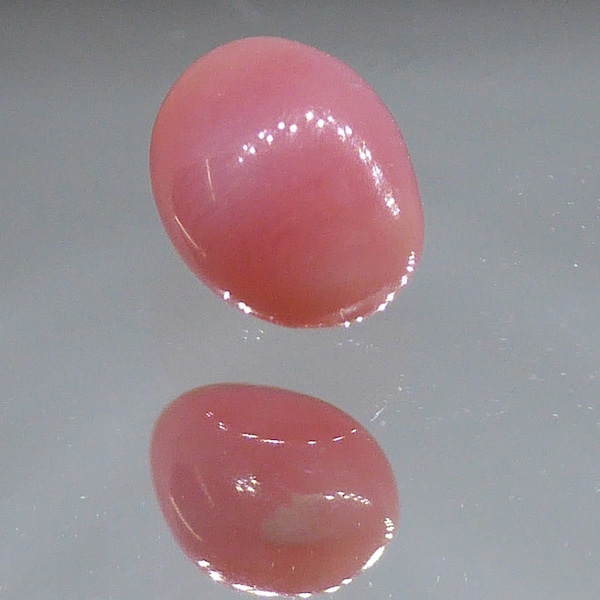 SOLD ,,Conch Pearl (Pink / saumon ), Weight: 0,40carat