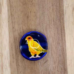 Sun conure Lampwork bead, parrot bead, parrot lampwork bead