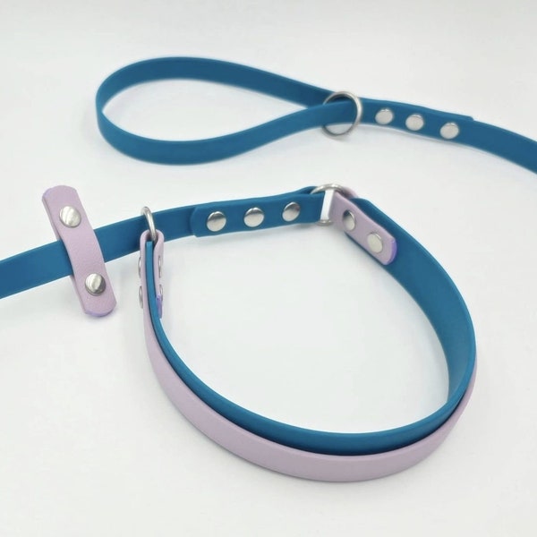 Limited-slip leash-collar combo. Waterproof odorproof vegan BioThane®. Stainless steel hardware. Custom size & colors.