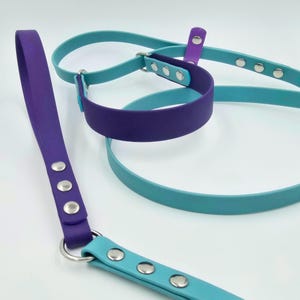 French Martingale leash-collar combo. Waterproof odorproof UV-resistant BioThane&#174. All stainless steel hardware. Custom size and colors!