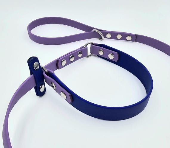 Limited Slip Lead Leash collar Combo. Waterproof Odorproof Biothane 174. Stainless Steel Hardware. Handmade. Custom Size and Colors. Etsy