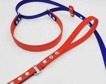 French Martingale leash-collar combo. Waterproof odorproof UV-resistant BioThane®. All stainless steel hardware. Custom size and colors!