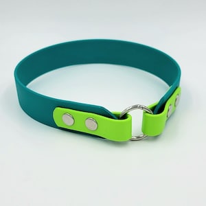 May include: Teal and lime green dog collar with a silver ring and three silver rivets.