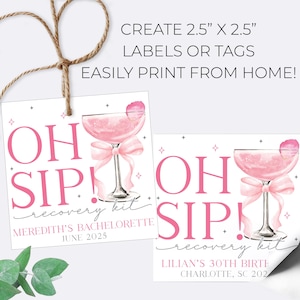 Oh Sip Pink Champagne Recovery Kit Editable Favor Hang Tag Template | Printable Bachelorette Hangover Kit | Bridal Shower Instant Download
