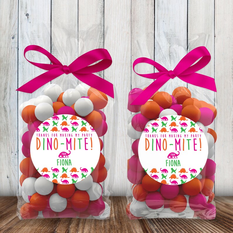 Girl Dinosaur Party Favors Pink Dinosaur Birthday Favor Etsy
