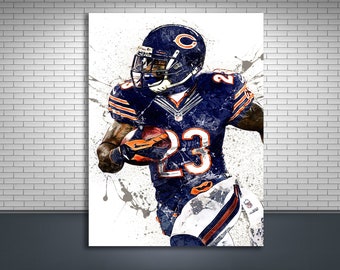 devin hester reebok jersey