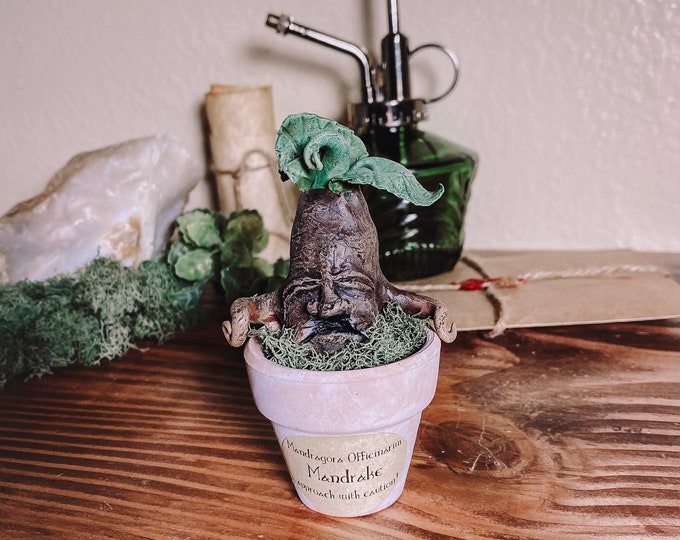 OOAK Mandrake Plant Small Mandrake Harry Potter Plant baby